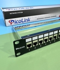 Thanh đấu nối Patch Panel 24 cổng Cat6 FTP 1U PicoLink PL-F1U24P-C6 