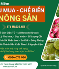 Phần mềm mua bán, sơ chế nông sản xuất khẩu TTV 