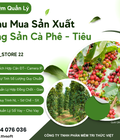 Phần mềm mua bán, quy chuẩn và công nợ hàng Cafe, Tiêu 