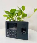 Máy chấm công vân tay ZKTECO W666 Plus Máy chấm công vân tay ZKTECO W666 Plus
