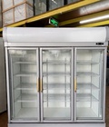 Thanh lý tủ mát 1500 lít - hiệu Fresh cool - 3 cửa kính -1500 lít - ngoại hình đẹp... Thanh lý tủ mát 1500 lít - hiệu Fresh cool - 3 cửa kính -1500 lít - ngoại hình đẹp...