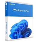 Phần mềm Windows Pro 11 64Bit Eng Intl 1pk DSP OEI DVD  FQC-10528 