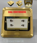 Phân phối Ổ cắm đế Âm Sàn 4 cổng mạng Lan - thoại - HDMI,.. bản màu Vàng- Bạc hãng...