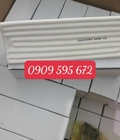 Điện trở sứ ra 2 dây - 4 dây 