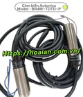 Cảm biến quang Autonics BR4M-TDTD-P 
