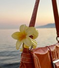 6 Bí Quyết Dùng Kẹp Tóc Hoa Tuna Aesthetic Để Luôn Nổi Bật. 