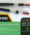 Cáp tín hiệu RS485 1 Pair 22AWG truyền dữ liệu ổn định Bình Định, Huế, Quảng Bình 