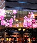Kinh Nghiệm Lắp Đặt Màn Hình LED Quảng Cáo Cho Cửa Hàng 