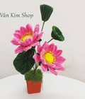 Chậu Hoa Handmade Món Quà Trang Trí Độc Đáo Và Ý Nghĩa Chậu Hoa Handmade Món Quà Trang Trí Độc Đáo Và Ý Nghĩa