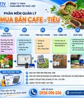 Phần mềm quản lý thu mua cà phê   hồ tiêu 