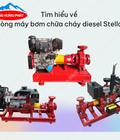 Có nên dùng máy bơm dầu Diesel Stella không Đánh giá chi tiết Có nên dùng máy bơm dầu Diesel Stella không Đánh giá chi tiết