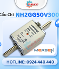 Cầu chì Mersen NH2GG50V300 