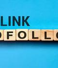 Nofollow Link Là Gì  Những Hiểu Lầm Phổ Biến Trong SEO 