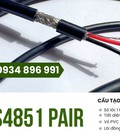 Cáp RS485 1 Pair 18AWG Có Hàng Tại Thanh Hóa, Nghệ An, Hà Tĩnh 