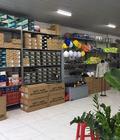 Thị trường giày bảo hộ tại Thái Nguyên 