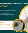 Cáp mạng UTP cat5e   Giải pháp kết nối mạng lan ổn định Đà Nẵng, Huế, Bình Định 
