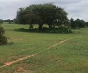 Bán Lô Đất 8400M2 sau Ủy ban xã Bình Tân, đối diện là Farm Bình Sơn, SỔ HỒNG RIÊNG