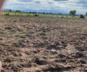 1 Bán lô đất thổ cư Sổ Riêng, MT QL1A 1 Bán lô đất thổ cư Sổ Riêng, MT QL1A