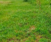 1 Cần bán 4 công đất tại ấp giồng lãnh 2, xã tăng hòa, huyện gò công đông, tiền giang 1 Cần bán 4 công đất tại ấp giồng lãnh 2, xã tăng hòa, huyện gò công đông, tiền giang