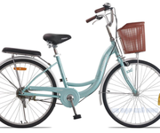 Xe Đạp Phổ Thông 24 Inch Fornix RG24