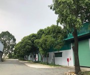 3 Thuê kho Tam Bình 4300m2 3 Thuê kho Tam Bình 4300m2