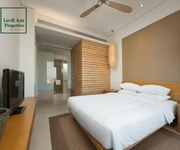 1 Cho thuê căn hộ Hyatt Ocean view 2-3 pn dài hạn