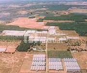 2 Bán lô đất thổ cư Sổ Riêng, MT QL1A, SHR, công chứng ngay