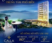 Chỉ 170 triệu sở hữu căn hộ biển Quy Nhơn