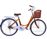 Xe Đạp Phổ Thông 24 Inch Vicky VM24
