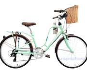 Xe Đạp Thể Thao Nữ 26 Inch VinaBike