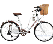 2 Xe Đạp Thể Thao Nữ 26 Inch VinaBike