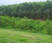 Bán 2700m2 đất Yên Thủy - Hòa Bình - Lưng tựa núi - Giá đầu tư - LH: 0913 296 825.