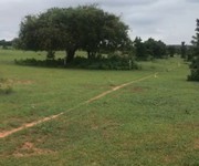 Đất đầu tư trồng CLN đối diện cổng KDL safari 3300ha - SỔ riêng
