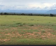 1 Đất đầu tư trồng CLN đối diện cổng KDL safari 3300ha - SỔ riêng