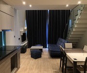 1 Chính chủ cắt lỗ căn duplex view biển mã 12 tầng 29 tòa a  cidtadines bãi cháy. full nội thât. 1.9
