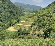1 Bán mảnh đất 9000m tại bản suối ba, hua păng, mộc châu