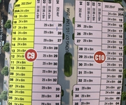 1 Cát tường western pearl 2