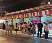 5 Cát tường western pearl 2