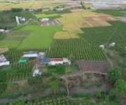1 Chính chủ cần bán lô đất ở xã Hồng Liêm-hàm Thuận Bắc, giá cả phải chăng