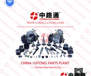 1 Bơm phun nhiên liệu Diesel 0 445 025 028 cho Bơm nhiên liệu của Bosch