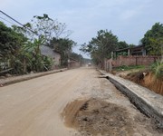2 Gia Đình Tôi cần Bán mảnh đất tại Làng Mấu, Tam Quan, Tam Đảo.dt 250m2 giá nhỉnh 2ty