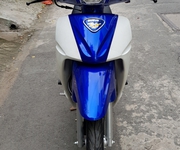4 Bán Xipo 98 Màu Xanh Trắng 120 98