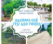 Siêu phẩm đất vườn Ngọc Định 3428m2 , mặt tiền hơn 100m, giá cực sốc