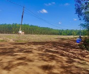 Cần bán lô đất tại Lộc Ninh giá 270tr/500m2