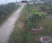 1 Nhượng trang trại 3,5 ha đang cho thu hoạch tại Yên Định  Thanh Hóa 8 tỷ