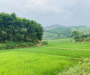 1 Bán đất Tân Lạc - Hòa Bình - View ruộng bậc thang - 2764m2 - Có SĐ - LH: 0913 296 825.