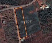 2 Bán đất 2 mặt tiền thôn hàm rồng, xã ia băng, huyện đăk đoa, gia lai