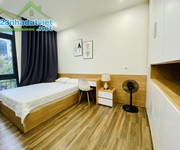 Cho thuê nguyên căn paris full đồ tại vinhomes imperia