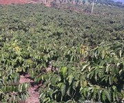 Cần bán 5 sào 8 đất vườn