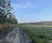 1 Bán đất ấp 4, tân hưng, bầu bàng, bình dương 1 Bán đất ấp 4, tân hưng, bầu bàng, bình dương